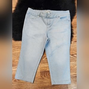 Artisan NY Pinstripe Capri Women's Size 12